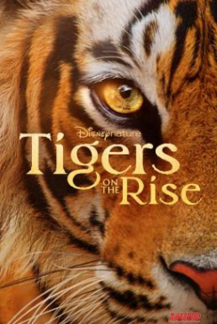 หนังเรื่อง Tigers on the Rise (2024) Disney+ บรรยายไทย