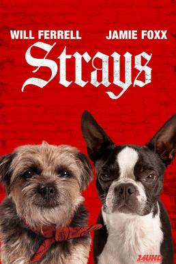 หนังเรื่อง Strays ชีวิตหมาต้องไม่หมา (2023) บรรยายไทย