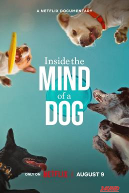 หนังเรื่อง Inside the Mind of a Dog อ่านใจสุนัข (2024) NETFLIX